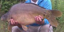 2009 Karpfen Wb 2